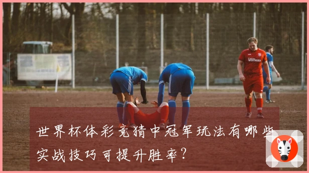 世界杯体彩竞猜中冠军玩法有哪些实战技巧可提升胜率？