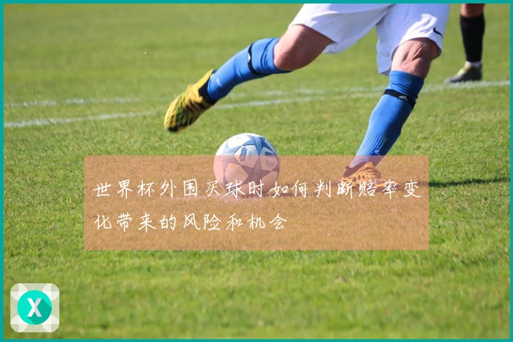 世界杯外围买球时如何判断赔率变化带来的风险和机会