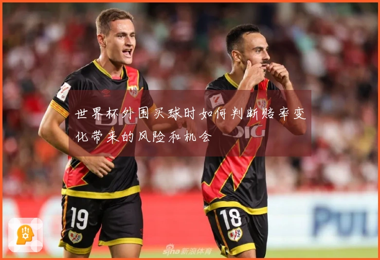 世界杯外围买球时如何判断赔率变化带来的风险和机会