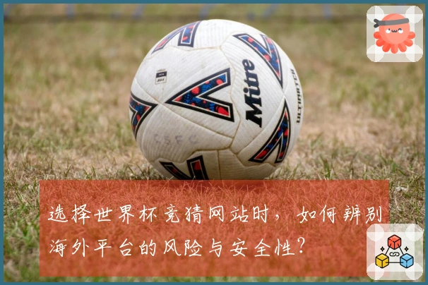 选择世界杯竞猜网站时，如何辨别海外平台的风险与安全性？