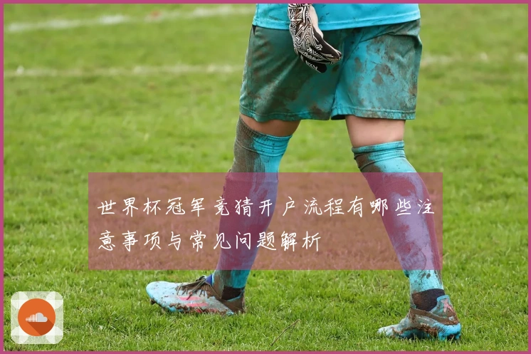 世界杯冠军竞猜开户流程有哪些注意事项与常见问题解析