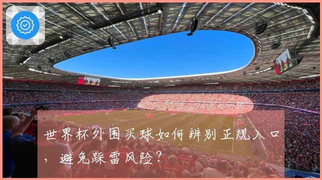 世界杯外围买球如何辨别正规入口，避免踩雷风险？