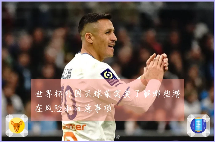 世界杯外围买球前需要了解哪些潜在风险和注意事项