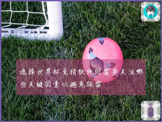 选择世界杯竞猜软件时需要关注哪些关键因素以避免踩雷