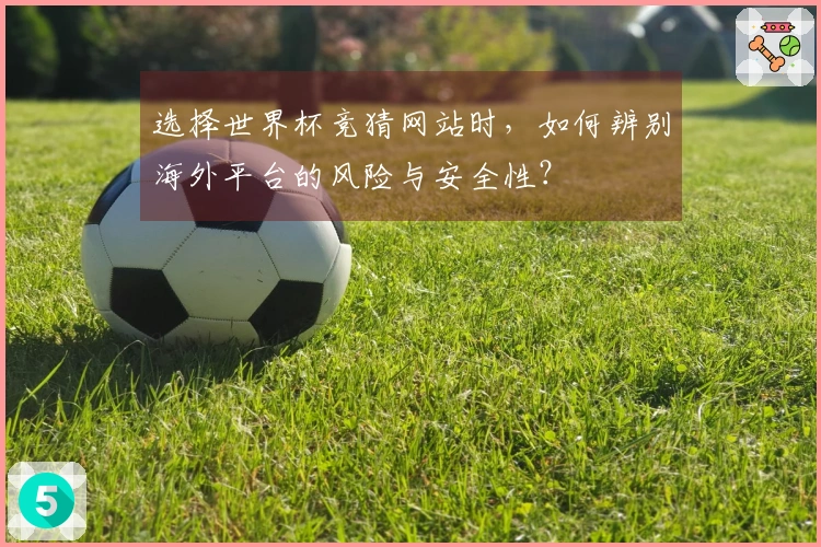 选择世界杯竞猜网站时，如何辨别海外平台的风险与安全性？
